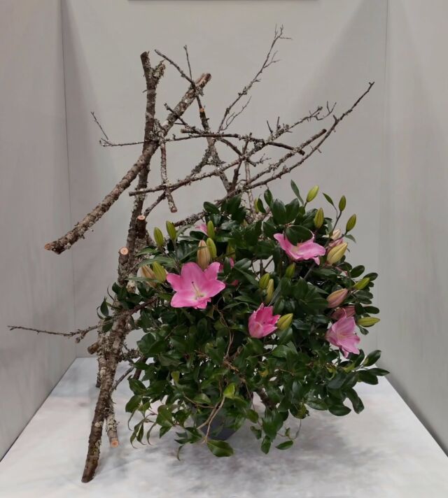 草月流いけばなアトリエ好茱｜籠原好茱